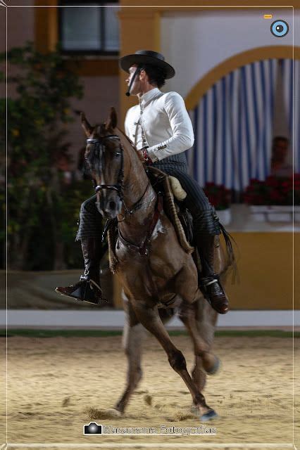 MANUEL SALADO Y SUS FOTOS XVII Copa De S M El Rey De Doma Vaquera