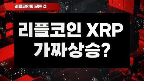 리플코인 Xrp 가짜상승 🚀 리플코인 비트코인 이더리움 에이다 도지코인 Youtube