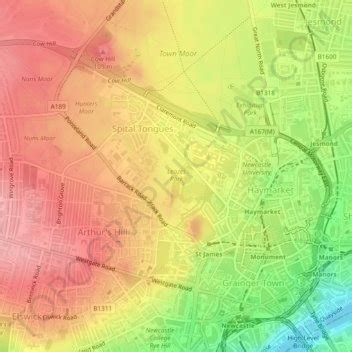 Leazes Park topographic map, elevation, terrain