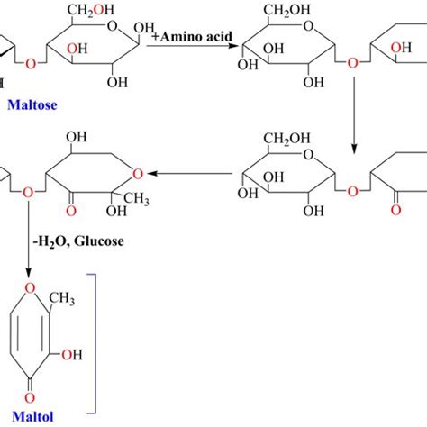 Formation Pathway Of Maltol In Maillard Reaction Between Maltose And