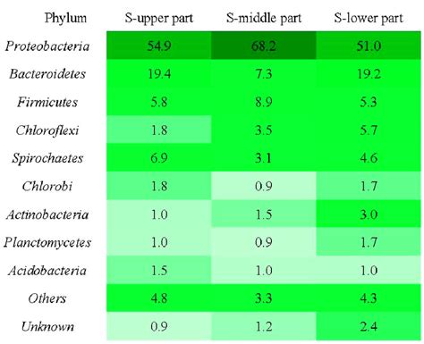 Microbial Community Structure At The Phylum Level At Different Heights