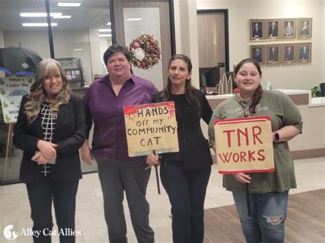 Alley Cat Allies Advocates For Cats And Tnr At Pearland Tx City