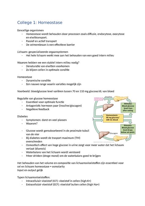 Colleges Aantekeningen College 1 Homeostase Eencellige Organismen
