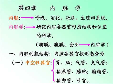 解剖学内脏知识笔记大全word文档在线阅读与下载无忧文档