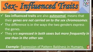 Sex Chromosomes And Sex Determination Pptx