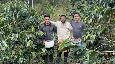 Caficultores Del Bosque De Protección Alto Mayo Buscan Promover A Nivel