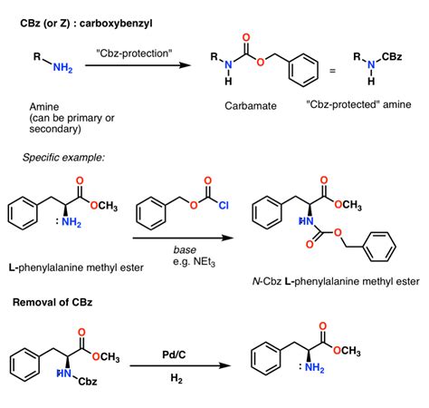 Acetylation Of Amine Mechanism