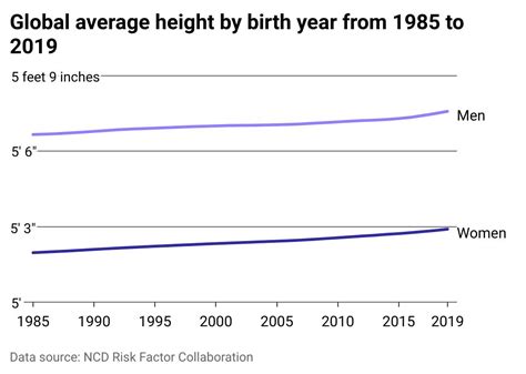 Average Woman Height