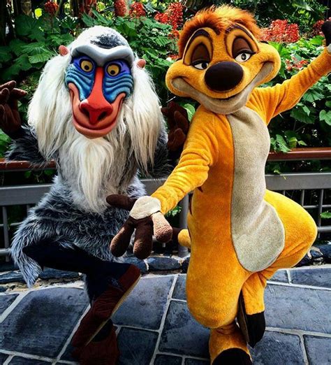 Timon & Rafiki Disneyland Photos, Disneyland Paris, Disney Parks, Walt ...