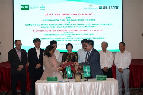 IRRI joins forces with Vietnam Seed Corporation to develop premium rice ...