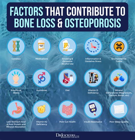 Osteoporosis Symptoms Causes And Natural Support Strategies