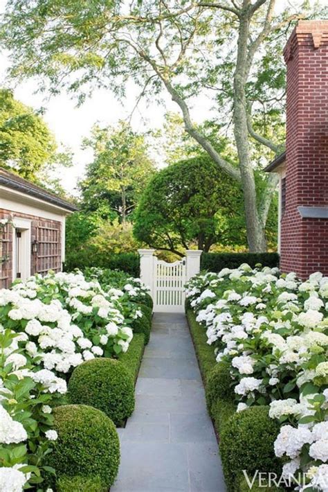 16 ideas de jardines de hortensias de ensueño