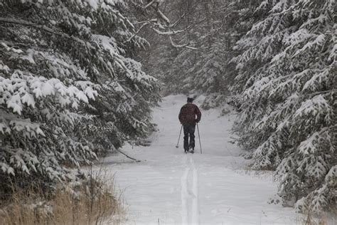 Have you skied the Old Mountain Road section of the Jackrabbit Trail?