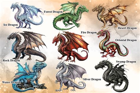 Dragon Collection Sublimation Clipart Graphic By Cat Lady · Creative