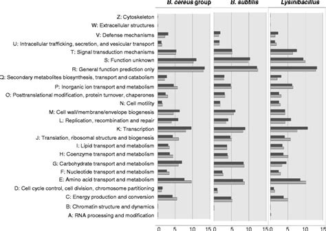 Clusters Of Orthologous Groups COG Analysis Of Pan And Core Genomes