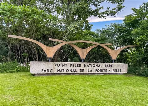 Complete Guide to Point Pelee National Park Camping