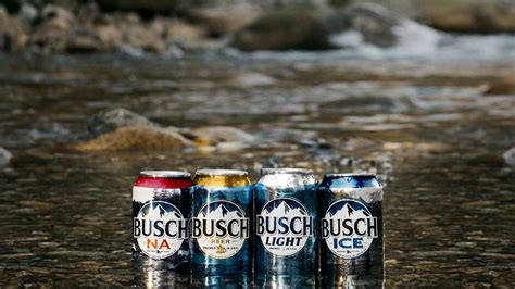 14 Amazing Busch Light Nutrition Facts!