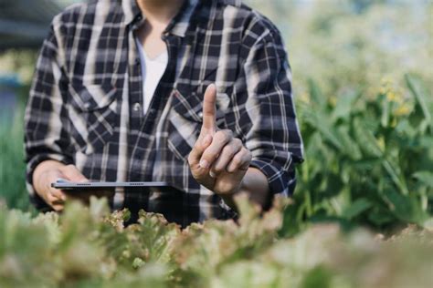 Frais De Notaire Terrain Agricole Comment Sont Ils Calcul S