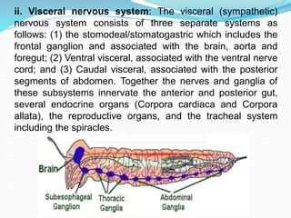 Lec Nervous System Ppt