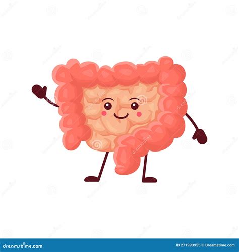 Cartoon Gut Human Body Organ Intestine Character Stock Vector