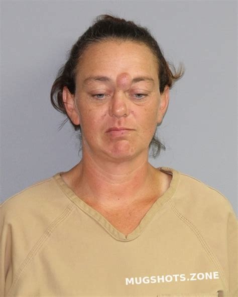 Ball Brenda Ann Palo Pinto County Mugshots Zone