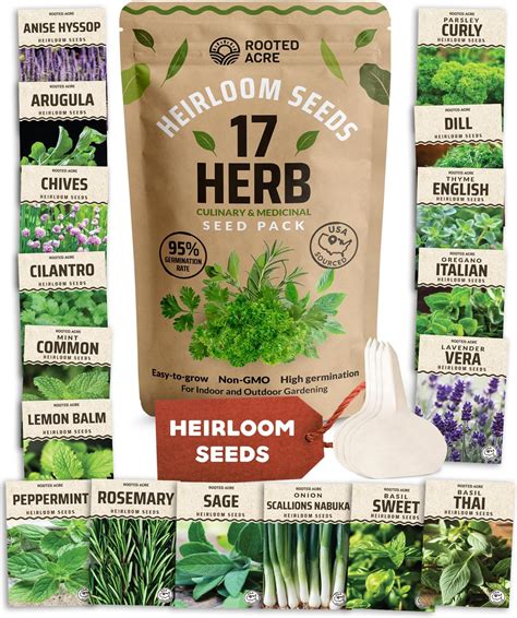 Amazon Herb Seeds Variety Pack Non Gmo Heirloom Seeds For