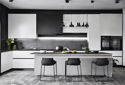 Monochrome Kitchen Designs Timeless Elegance Meets Modern Functionality