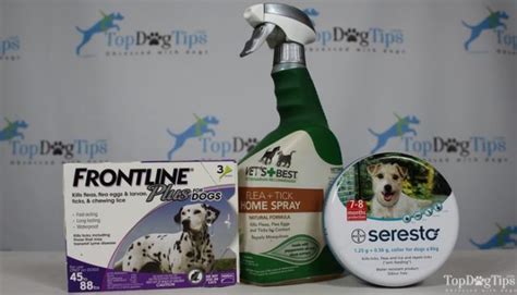 3 Best Flea and Tick Treatment for Dogs Review & Testing