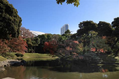 Koishikawa Korakuen Graden People And Tourists Nov Stock Image