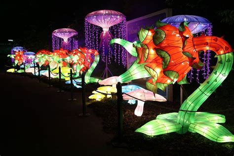 Sneak Peek At The Cleveland Zoo Asian Lantern Festival