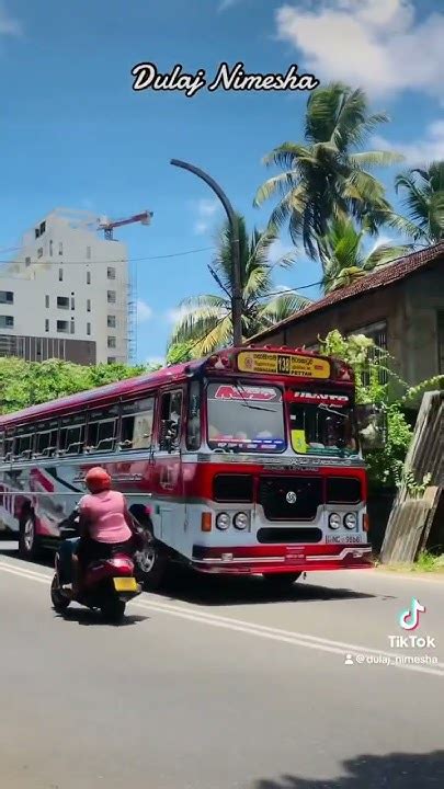 මේවා තමා ලංකාවේ ලස්සනම ලස්සන පේන්ට් ඩිසයින් තියෙන චාම් බස් ඉතින් ️