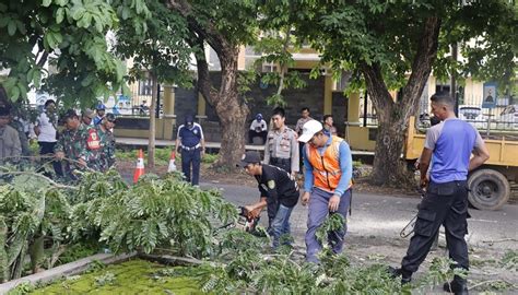 Bahayakan Pengguna Jalan Petugas Gabungan Di Banjar Tebang Pohon