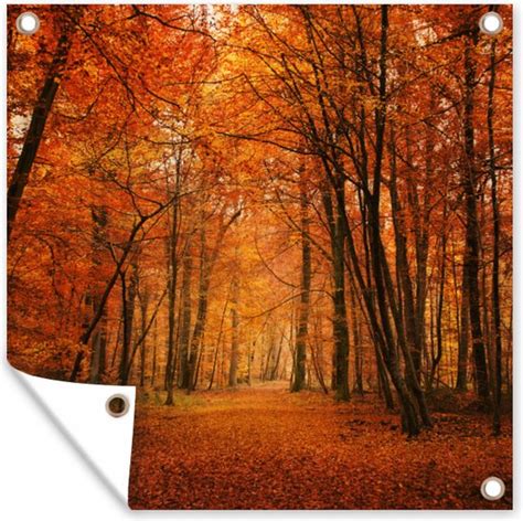 Tuin Poster Herfst Rood Bos X Cm Tuindoek Buitenposter