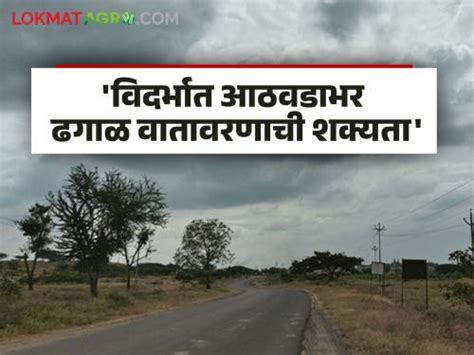 Maharashtra Weather Update विदर्भात आठवडाभर ढगाळ वातावरणाची शक्यता