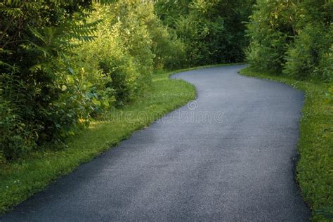 Road Asphalt Path Vegetation Picture Image 132088159