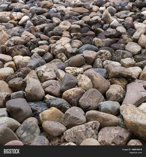 Pebble Stone Texture Image & Photo (Free Trial) | Bigstock