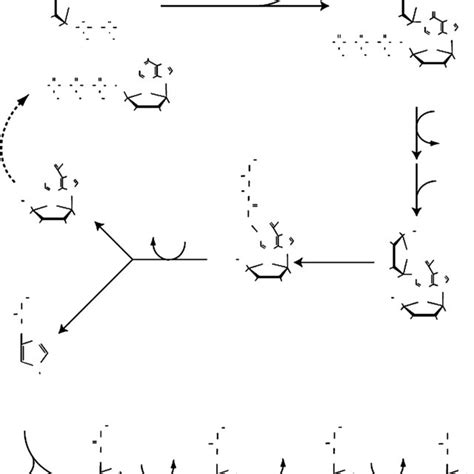 (PDF) Histidine biosynthesis in plants