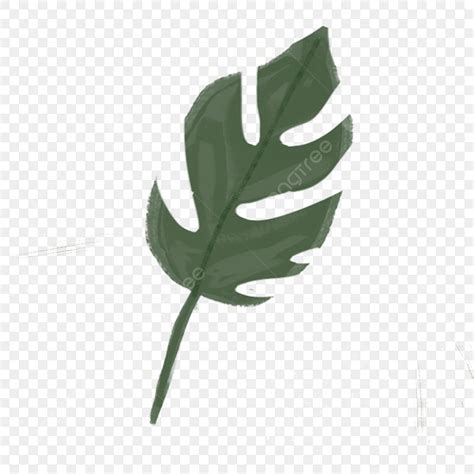 Descarga De Hoja Verde De Planta De Dibujos Animados Png Hoja Verde