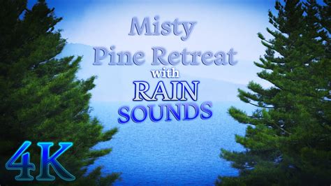 ☔ Rain Kissed Pines Serenity In Natures Shower 🌲 Youtube