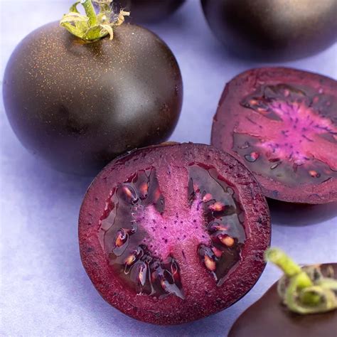 Tomato Seeds Purple Galaxy Baker Creek Heirloom Seed Company