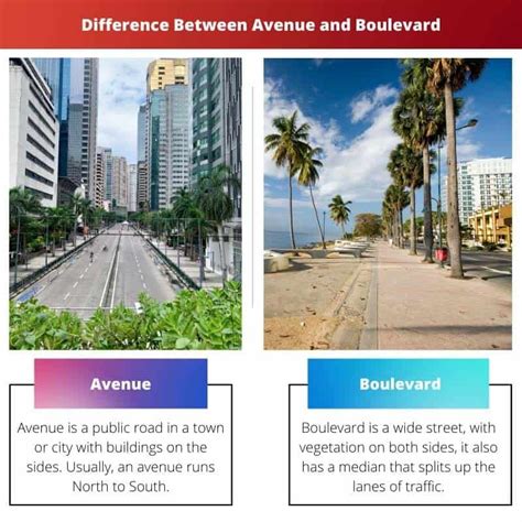 Avenue vs Boulevard: Difference and Comparison