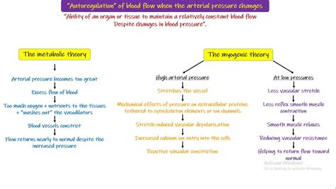 Metabolic Theory Myogenic Theory Chapter Part Guyton And Hall