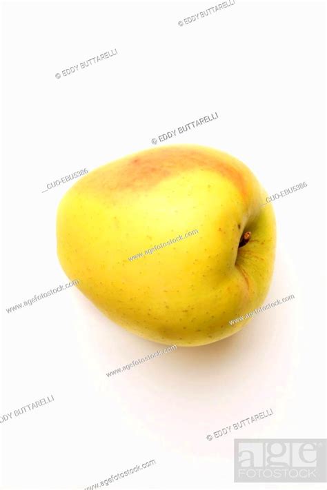 Apple, Italy, Stock Photo, Picture And Rights Managed Image. Pic. CUO ...