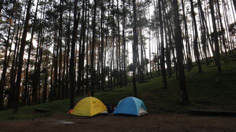 Rekomendasi Tempat Camping Di Bandung Timur Lengkap Dengan Lokasi