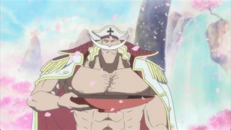 Whitebeard And Gol D Roger Last Meeting English Dubbed Youtube