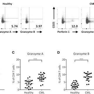 Perforin 1 Granzyme A And Granzyme B Transcription Levels In Ex Vivo