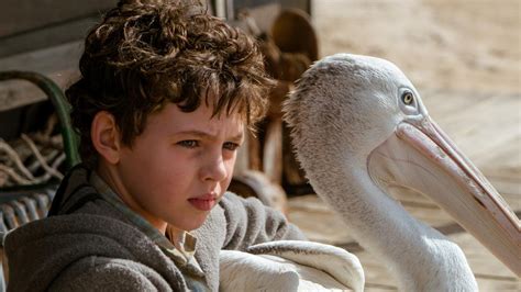 Brisbane Child Actor Finn Little Of Storm Boy Is Set To Star Opposite