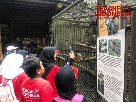 Study Tour TFI Goes To Taman Safari Indonesia 11 Mei 2024 Teach