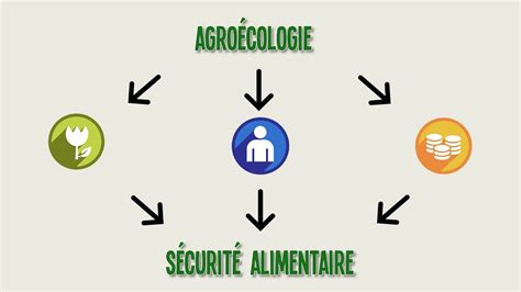 Sécurité Alimentaire Youtube