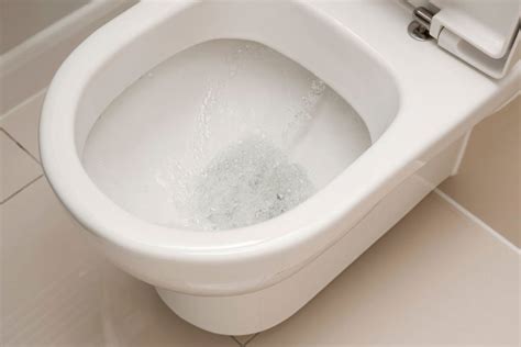 Debunking the toilet lid closure myth: Effective ways to combat common bathroom germs